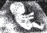 HST's Avatar