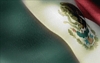 Schwarz3's Avatar