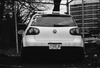 LuckyHenriksen's Avatar