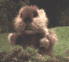 accident's Avatar