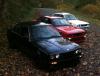 Alpine30 Wolf