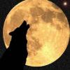 LoneWolf's Avatar
