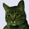 ohthejosh's Avatar