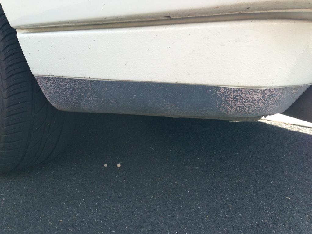 Rocker panel paint? R3VLimited Forums