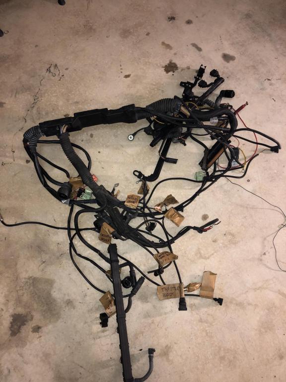 Click image for larger version

Name:	1VDEgt6.jpg
Views:	519
Size:	70.3 KB
ID:	9963508