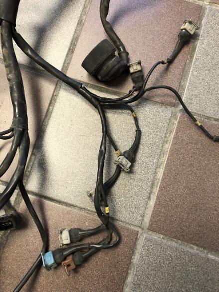 Click image for larger version  Name:	IMG_7352.jpg Views:	15 Size:	61.7 KB ID:	10069882