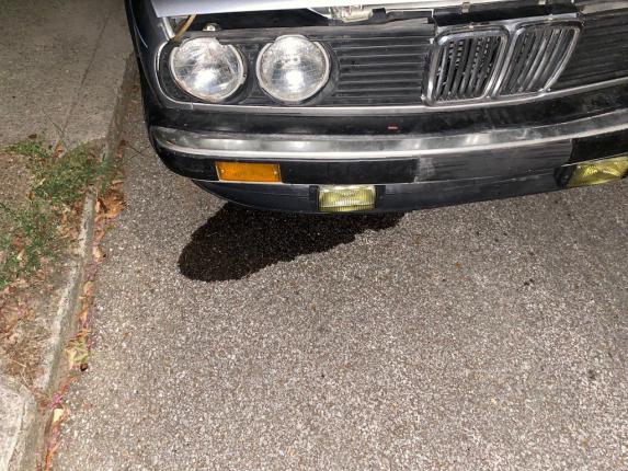 Click image for larger version

Name:	117833780_311208136875282_763747019886175738_n.jpg
Views:	490
Size:	66.7 KB
ID:	9945652