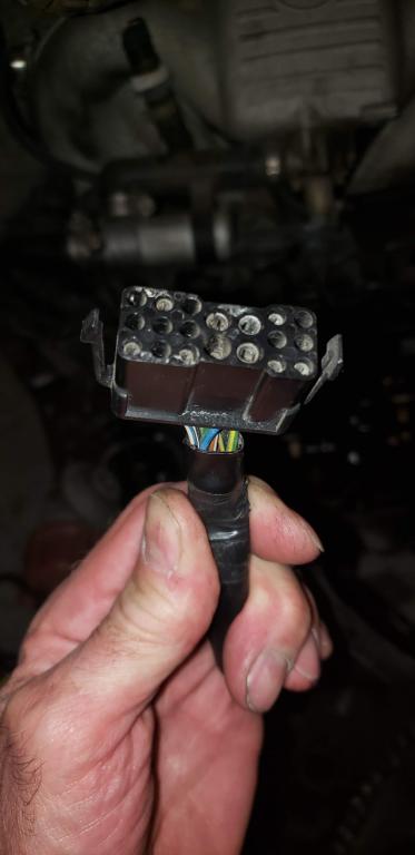 Click image for larger version

Name:	20200508_224853.jpg
Views:	635
Size:	24.9 KB
ID:	9924158