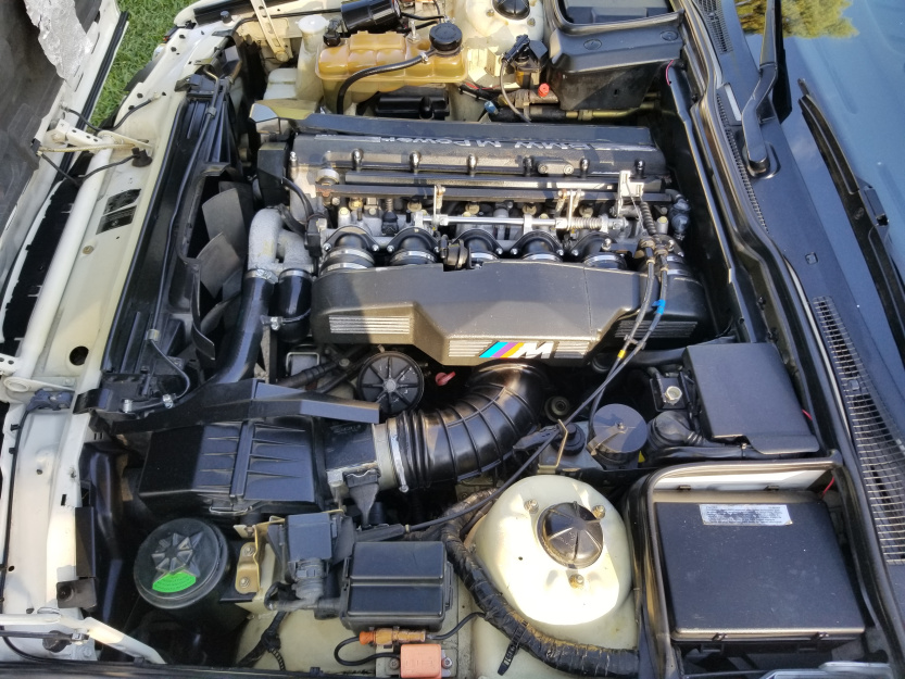 Click image for larger version

Name:	20211013_171657.jpg
Views:	736
Size:	273.3 KB
ID:	10091073