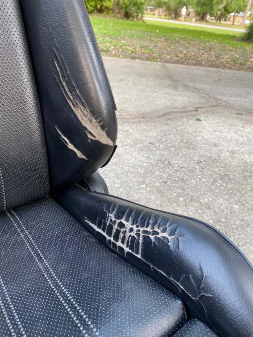 Click image for larger version  Name:	IMG_1457.jpg Views:	3 Size:	78.6 KB ID:	10017769