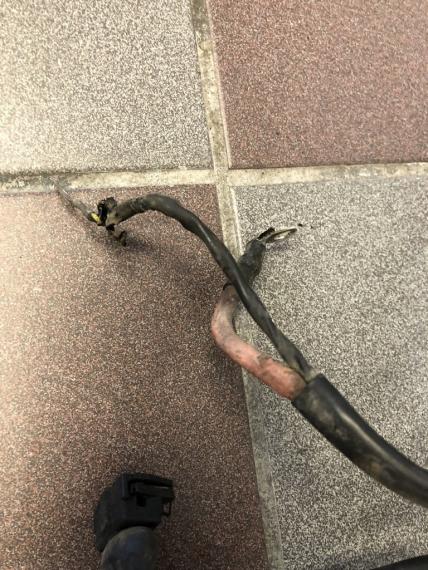 Click image for larger version

Name:	IMG_7353.jpg
Views:	96
Size:	68.3 KB
ID:	10069887