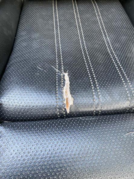 Click image for larger version

Name:	IMG_1458.jpg
Views:	434
Size:	82.9 KB
ID:	10017777