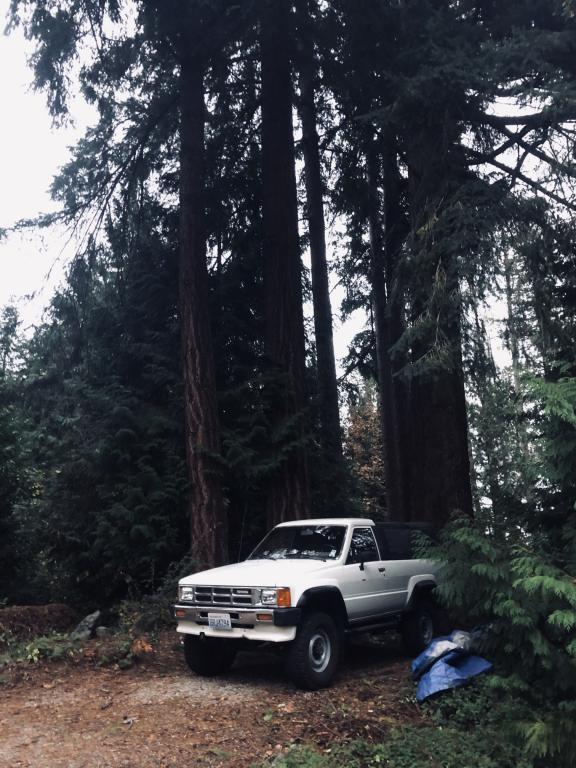 Click image for larger version  Name:	IMG_3211_50.jpg Views:	0 Size:	88.3 KB ID:	9959598