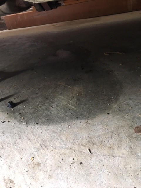 Click image for larger version

Name:	floorleak.JPG
Views:	466
Size:	70.5 KB
ID:	9861506