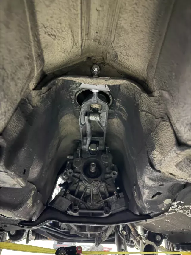 Click image for larger version

Name:	IMG_5979.webp
Views:	17
Size:	57.2 KB
ID:	10155071