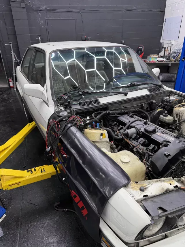 Click image for larger version

Name:	IMG_5544.webp
Views:	0
Size:	84.8 KB
ID:	10155666