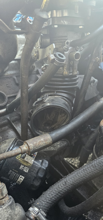 Click image for larger version

Name:	20260215_144532.jpg
Views:	11
Size:	118.6 KB
ID:	10155779