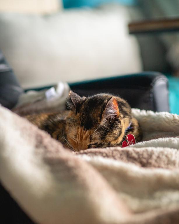 Click image for larger version

Name:	_MG_9404.jpg
Views:	73
Size:	38.0 KB
ID:	10077048