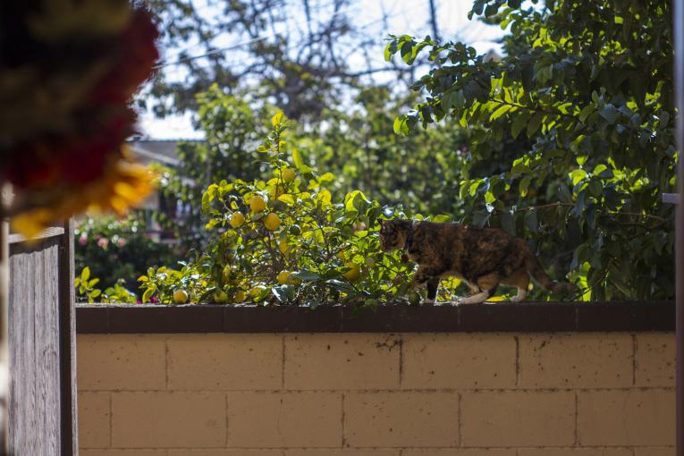 Click image for larger version

Name:	_MG_3371vS.jpg
Views:	74
Size:	66.6 KB
ID:	10077047