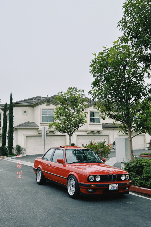 Click image for larger version

Name:	54027793683_0296f53d02_h.jpg
Views:	18
Size:	202.8 KB
ID:	10160046