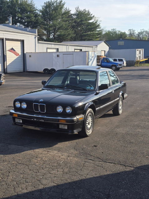 Click image for larger version  Name:	First pic of Penny.jpg Views:	4 Size:	171.7 KB ID:	10161399