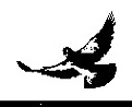 Click image for larger version

Name:	dove3.jpg
Views:	270
Size:	3.3 KB
ID:	7103413