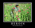 Click image for larger version

Name:	Heroinr3v.jpg
Views:	981
Size:	108.6 KB
ID:	7103790