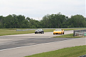 Click image for larger version

Name:	Lotus &amp;amp; Cobra.JPG
Views:	221
Size:	23.2 KB
ID:	7107298