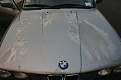Click image for larger version

Name:	Patches on the hood.JPG
Views:	333
Size:	50.2 KB
ID:	7115111