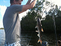 Click image for larger version

Name:	IMG_0194.jpg
Views:	403
Size:	114.3 KB
ID:	7119740
