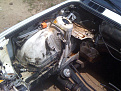 Click image for larger version

Name:	IMG_0211.jpg
Views:	224
Size:	101.1 KB
ID:	7122540