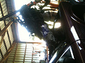 Click image for larger version

Name:	IMG_0877.jpg
Views:	291
Size:	93.4 KB
ID:	7123109