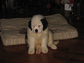 Click image for larger version

Name:	IMG_0488.jpg
Views:	251
Size:	73.3 KB
ID:	7128736