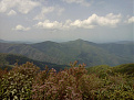 Click image for larger version

Name:	Kilmer1028.jpg
Views:	362
Size:	58.8 KB
ID:	7132074