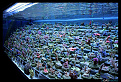 Click image for larger version

Name:	3.jpg
Views:	312
Size:	109.9 KB
ID:	7135930