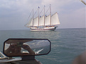 Click image for larger version

Name:	0725081549.jpg
Views:	346
Size:	61.7 KB
ID:	7140387