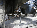 Click image for larger version

Name:	IMGP0391.jpg
Views:	183
Size:	119.1 KB
ID:	7141173