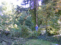 Click image for larger version

Name:	DSCF3648.jpg
Views:	302
Size:	119.4 KB
ID:	7147487