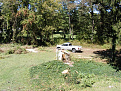 Click image for larger version

Name:	DSCF3689.jpg
Views:	253
Size:	118.5 KB
ID:	7148007