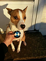 Click image for larger version

Name:	uploadfromtaptalk1357826244202.jpg
Views:	309
Size:	54.3 KB
ID:	7149246