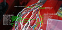 wire-layout.jpg