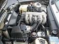 Click image for larger version

Name:	318is Engine 2.jpg
Views:	809
Size:	92.1 KB
ID:	7160015