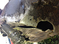 Click image for larger version

Name:	IMG_2760.jpg
Views:	211
Size:	45.5 KB
ID:	7160066