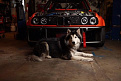 Click image for larger version

Name:	IMG951067.jpg
Views:	265
Size:	20.6 KB
ID:	7163530