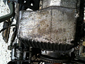Click image for larger version

Name:	photo 2.jpg
Views:	272
Size:	122.0 KB
ID:	7168966