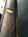 Click image for larger version

Name:	photo 2.jpg
Views:	255
Size:	56.0 KB
ID:	7168970