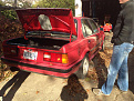 Click image for larger version

Name:	IMG_0005.jpg
Views:	203
Size:	116.4 KB
ID:	7173102