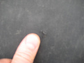 Click image for larger version

Name:	IMG_1120.jpg
Views:	304
Size:	38.3 KB
ID:	7176655