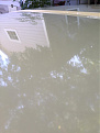 Click image for larger version

Name:	IMG_0029.jpg
Views:	211
Size:	27.4 KB
ID:	7180371