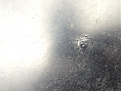 Click image for larger version

Name:	IMG_2943.JPG
Views:	221
Size:	93.0 KB
ID:	7182231